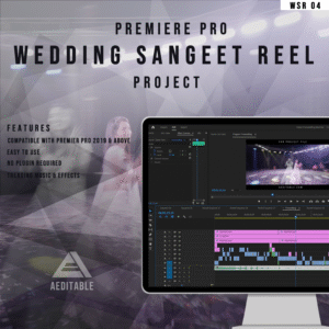 Sangeet Reel 04